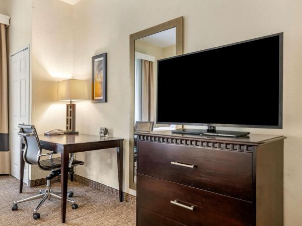 Comfort Suites Maingate East : photo 4 de la chambre suite lit king-size