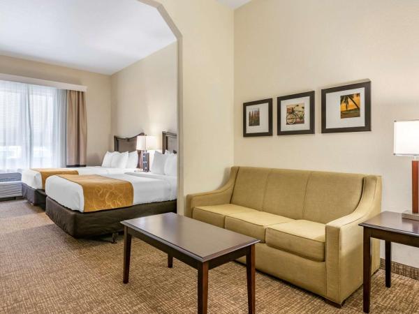 Comfort Suites Maingate East : photo 1 de la chambre suite lit queen-size