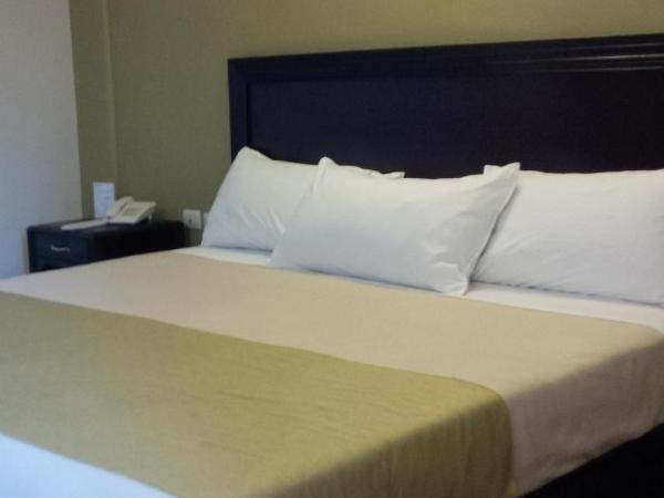 CHN Hotel Monterrey Santa Fe : photo 4 de la chambre chambre supérieure lit queen-size