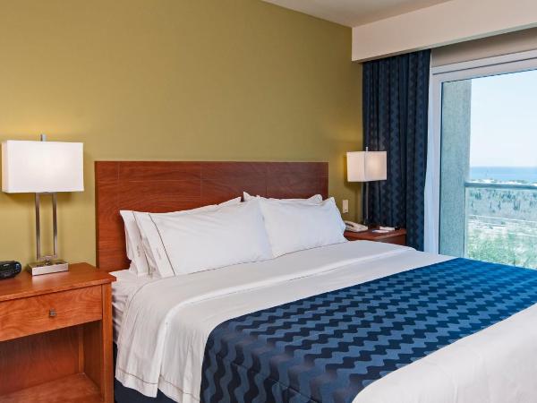 Holiday Inn Express Cabo San Lucas, an IHG Hotel : photo 5 de la chambre suite lit king-size – non-fumeurs