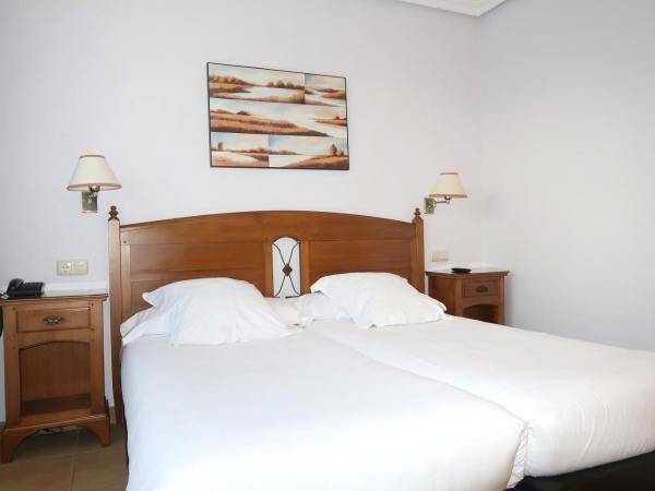 Hotel Gudamendi : photo 5 de la chambre offre spéciale - chambre lits jumeaux - vue sur jardin