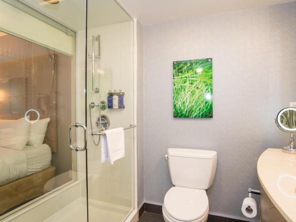 Hotel BLU : photo 7 de la chambre chambre deluxe avec 2 lits queen-size