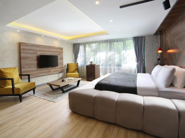 Walton Residence Sisli : photo 3 de la chambre suite deluxe avec jacuzzi