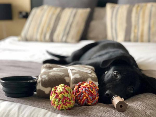 The Ashleigh - Dog Friendly : photo 8 de la chambre chambre double