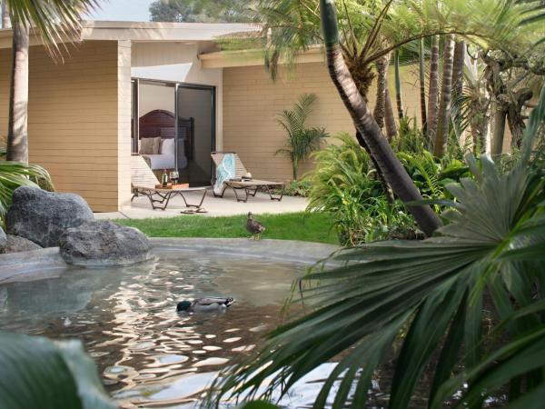 Bahia Resort Hotel : photo 3 de la chambre hébergement lit king-size - vue sur jardin