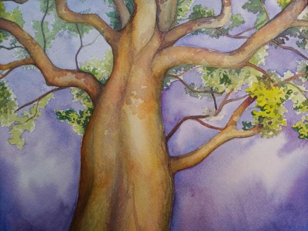 Imperial Hawaii Resort : photo 1 de la chambre suite koa