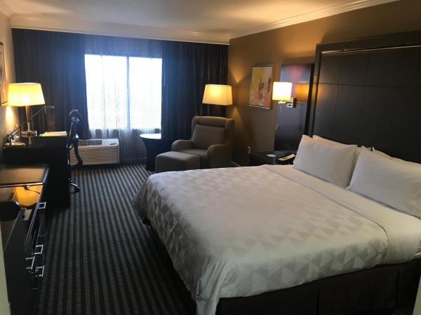 Holiday Inn Orlando East-UCF Area, an IHG Hotel : photo 4 de la chambre chambre lit king-size - adaptée aux personnes à mobilité réduite et malentendantes