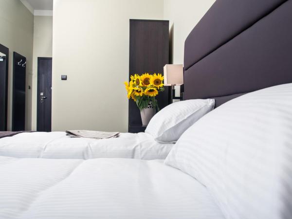 Hotel Ilan : photo 5 de la chambre appartement