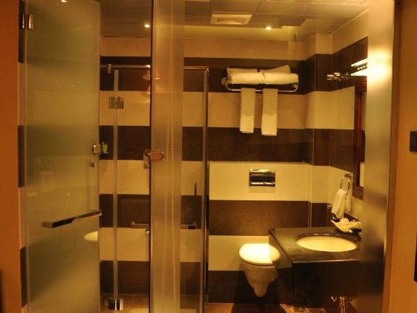 Park Avenue Hotel Nungambakkam : photo 6 de la chambre chambre premium 