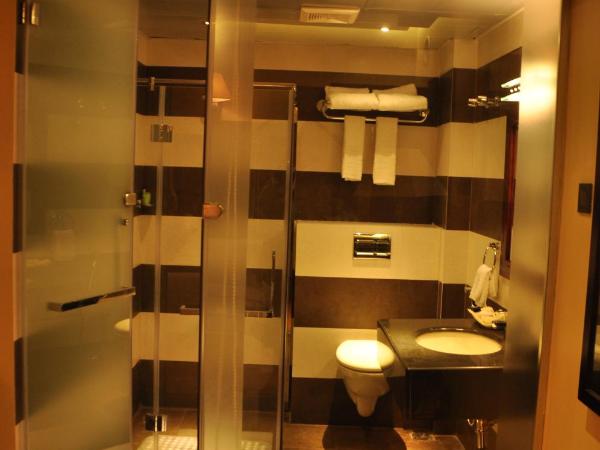 Park Avenue Hotel Nungambakkam : photo 5 de la chambre chambre triple premium