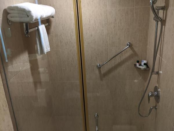 Fortune Select Global, Gurugram - Member ITC's Hotel Group : photo 3 de la chambre chambre deluxe