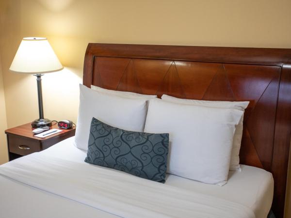 The Hotel Hollywood : photo 2 de la chambre chambre lit queen-size 