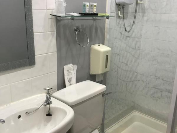 Raffles Hotel : photo 4 de la chambre chambre lits jumeaux avec douche