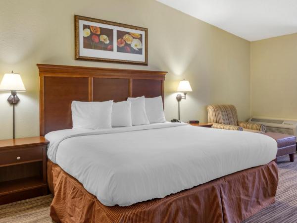 Country Inn & Suites by Radisson, Atlanta Downtown : photo 1 de la chambre chambre lit king-size - non-fumeurs