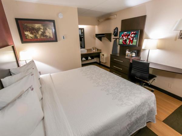 Red Roof Inn PLUS+ St. Louis - Forest Park / Hampton Ave. : photo 1 de la chambre chambre lit king-size standard - non-fumeurs