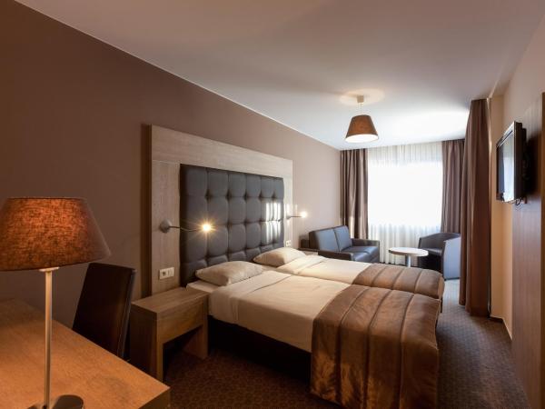 Hotel Villa Royale : photo 2 de la chambre chambre double supérieure
