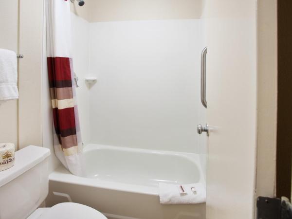 Red Roof Inn PLUS+ Nashville Fairgrounds : photo 4 de la chambre chambre lit king-size standard - non-fumeurs