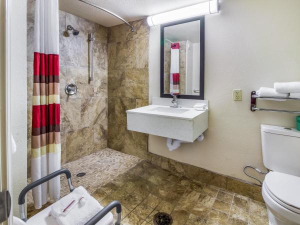 Red Roof Inn Houston East I-10 : photo 5 de la chambre deluxe two double beds with roll-in shower - non-smoking/disability access