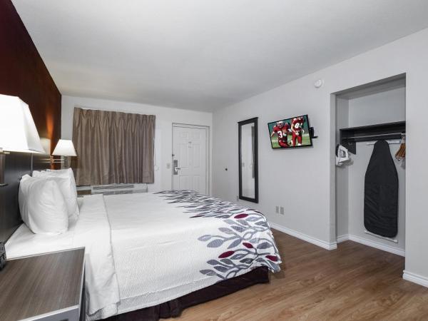 Red Roof Inn Houston North - FM1960 & I-45 : photo 2 de la chambre chambre de luxe lit king-size – accessible aux personnes à mobilité réduite – non-fumeurs