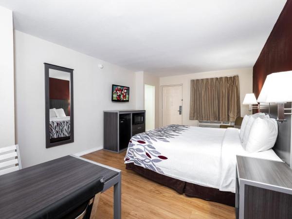 Red Roof Inn Houston North - FM1960 & I-45 : photo 3 de la chambre chambre lit king-size supérieure - non-fumeurs