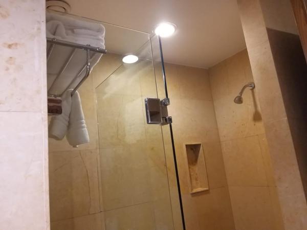 El Diplomatico : photo 1 de la chambre suite junior