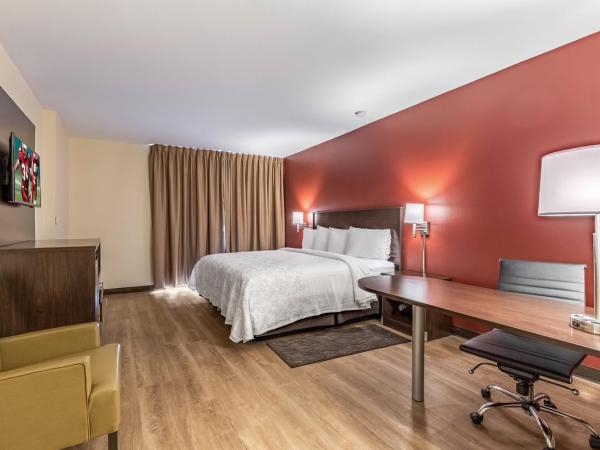 Red Roof Inn PLUS & Suites Houston - IAH Airport SW : photo 1 de la chambre chambre lit king-size supérieure - non-fumeurs