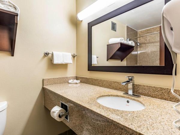 Red Roof Inn PLUS & Suites Houston - IAH Airport SW : photo 5 de la chambre suite lit king-size - non-fumeurs