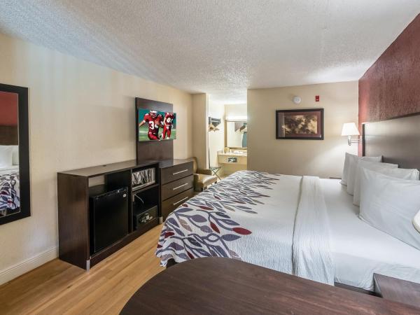 Red Roof Inn Orlando South - Florida Mall : photo 2 de la chambre chambre lit king-size de luxe - non-fumeurs