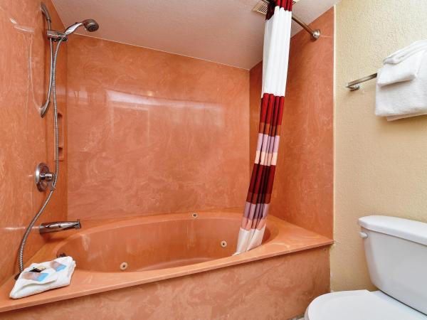 Red Roof Inn Orlando South - Florida Mall : photo 9 de la chambre chambre double de luxe avec 2 lits doubles - non-fumeurs