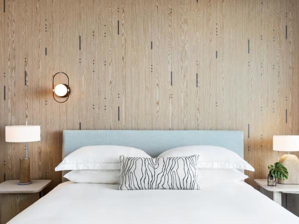 Kimpton - Hotel Palomar South Beach, an IHG Hotel : photo 3 de la chambre chambre essential