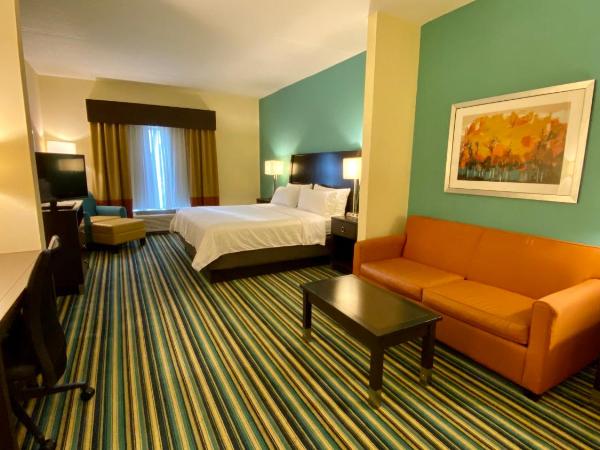 Holiday Inn Express Hotel & Suites Orlando East-UCF Area, an IHG Hotel : photo 2 de la chambre suite lit king-size avec canapé-lit