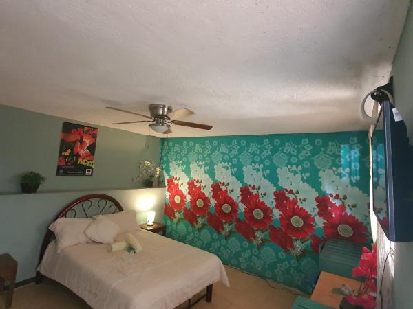 Hierba De Conejo Hostel : photo 2 de la chambre chambre double avec salle de bains commune