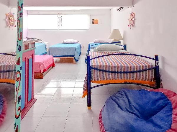 Hostel Vallarta : photo 2 de la chambre lit simple dans dortoir pour femmes