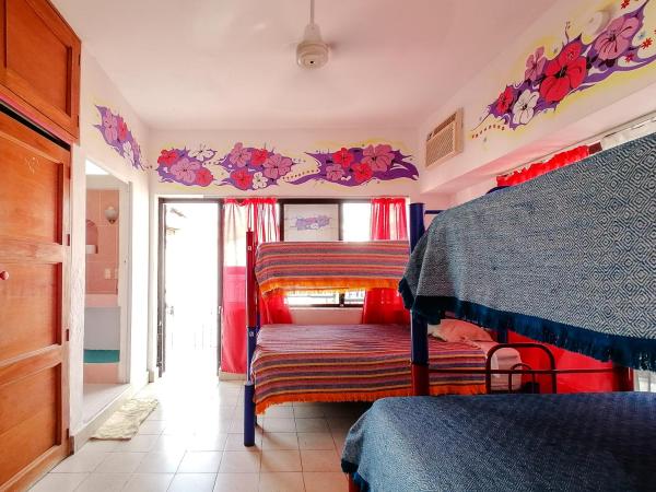 Hostel Vallarta : photo 4 de la chambre lit dans dortoir pour femmes de 4 lits