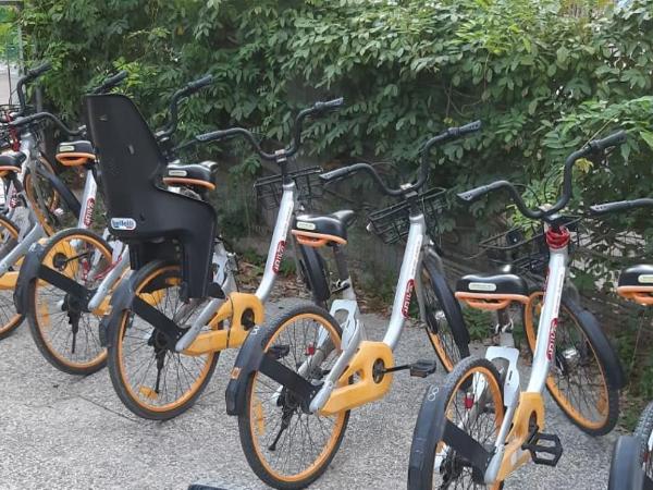 Hotel Laika : photo 4 de la chambre chambre double ou lits jumeaux