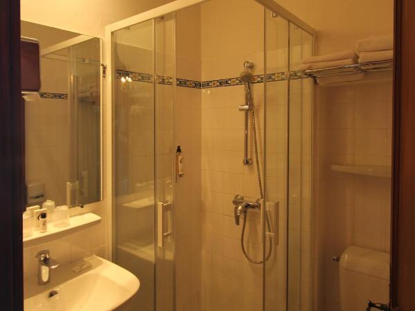 Hostellerie Le Beffroi : photo 2 de la chambre chambre double ou lits jumeaux avec douche