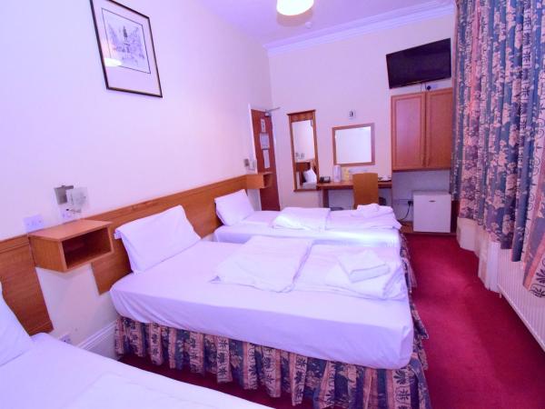 Bridge Park Hotel : photo 2 de la chambre chambre triple avec 3 lits simples et salle de bains privative