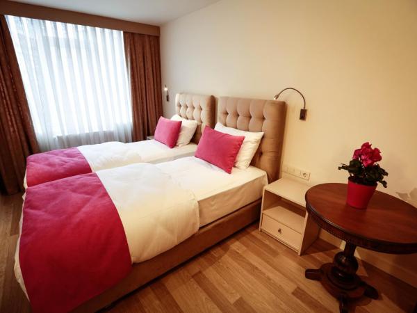 Melek Hotels Moda : photo 4 de la chambre chambre deluxe double ou lits jumeaux