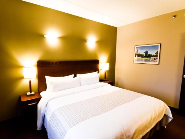 Canad Inns Destination Centre Fort Garry : photo 4 de la chambre suite lit king-size avec canapé-lit