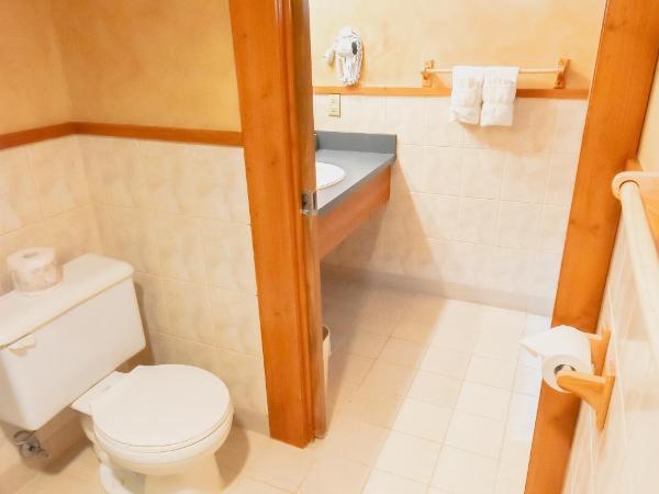 Canad Inns Destination Centre Fort Garry : photo 5 de la chambre suite avec jacuzzi