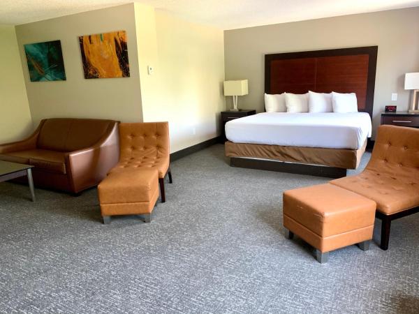 Wingate by Wyndham Atlanta Galleria/ Ballpark : photo 2 de la chambre suite studio lit king-size supérieure - non-fumeurs