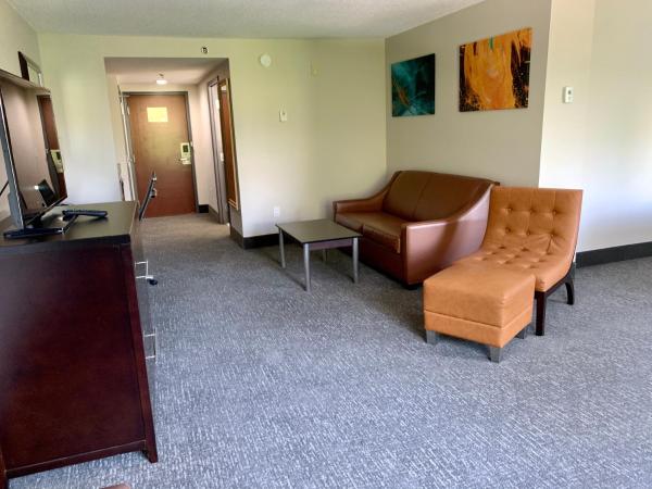 Wingate by Wyndham Atlanta Galleria/ Ballpark : photo 3 de la chambre suite studio lit king-size supérieure - non-fumeurs