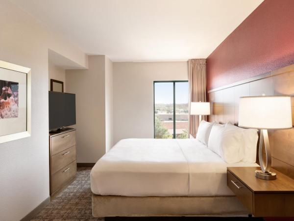 Staybridge Suites San Antonio Downtown Convention Center, an IHG Hotel : photo 3 de la chambre suite 1 chambre lit king-size avec canapé-lit