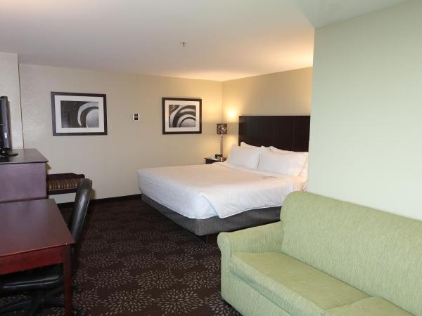 Holiday Inn Express Pittsburgh West - Greentree, an IHG Hotel : photo 2 de la chambre chambre lit king-size avec canapé-lit