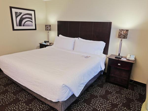 Holiday Inn Express Pittsburgh West - Greentree, an IHG Hotel : photo 2 de la chambre suite avec douche accessible en fauteuil roulant - non-fumeurs