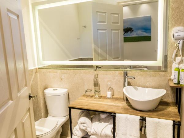 Hotel Tabáa Oaxaca : photo 2 de la chambre suite familiale