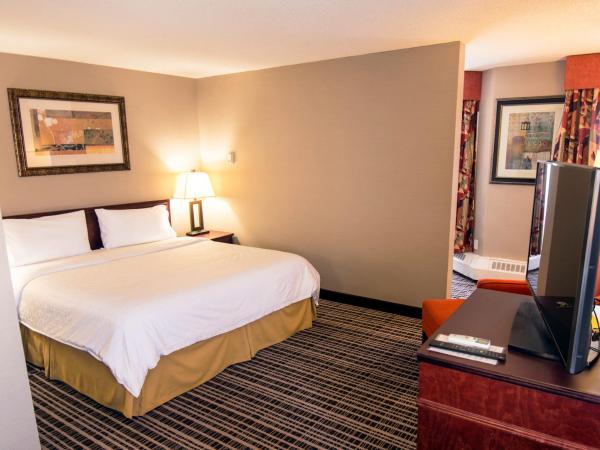 Holiday Inn Express Red Deer, an IHG Hotel : photo 3 de la chambre suite lit king-size – non-fumeurs