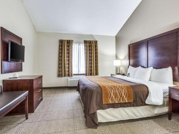 Comfort Inn & Suites Love Field-Dallas Market Center : photo 1 de la chambre suite lit king-size – non-fumeurs