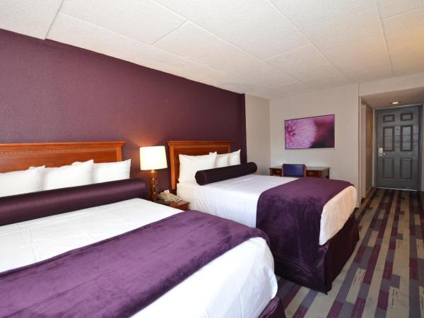 Sea Club Ocean Resort : photo 3 de la chambre chambre double avec 2 lits doubles (3 adultes)