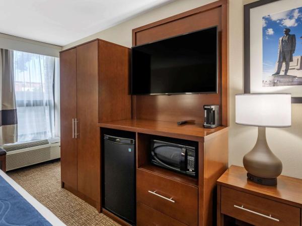 Comfort Inn Nashville - Opryland Area : photo 4 de la chambre chambre lit king-size - accessible aux personnes à mobilité réduite/non-fumeurs